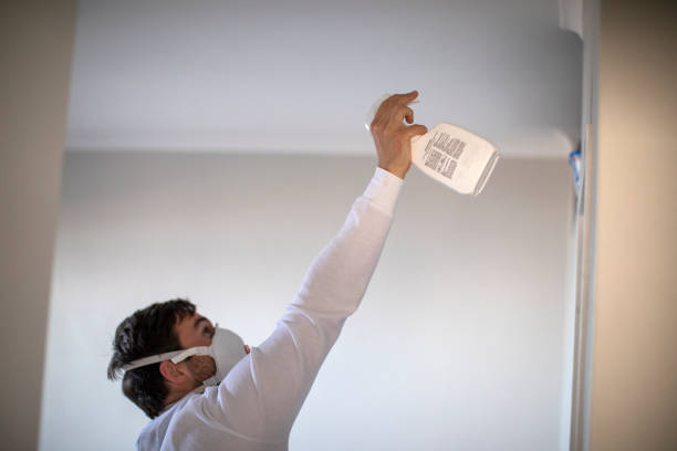 Best Mold Testing and Removal  in Hoopers Creek, NC