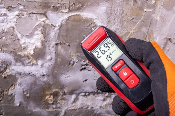 Best Crawl Space Mold Removal  in Hoopers Creek, NC