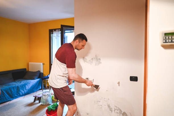 Best Office Mold Removal Services  in Hoopers Creek, NC